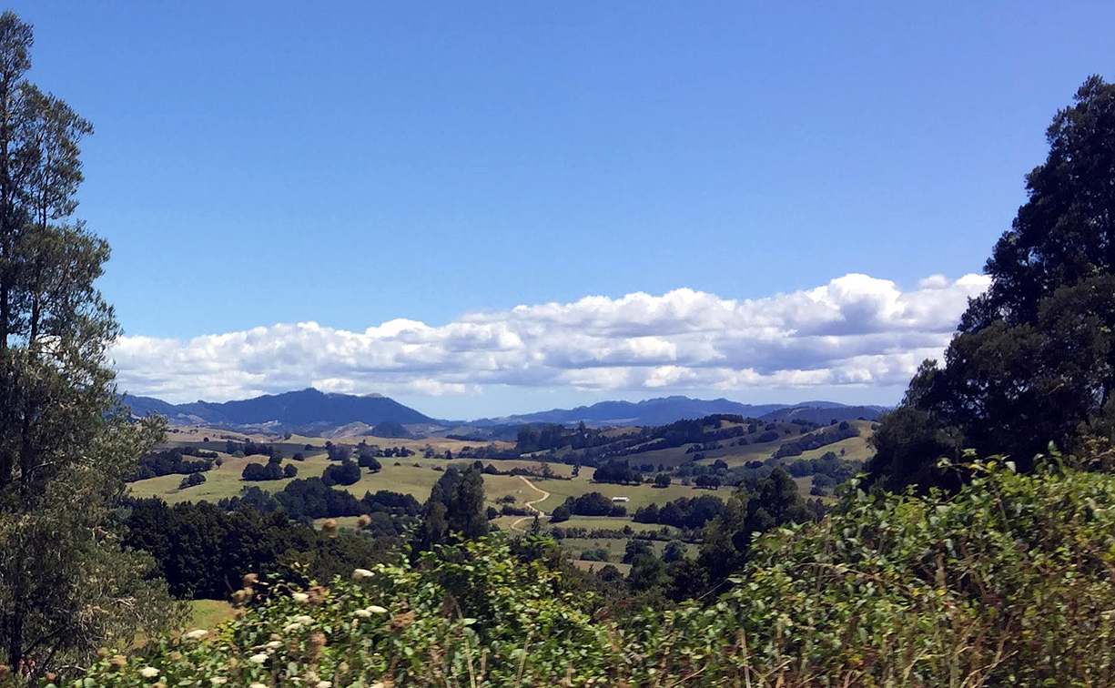 Panorama NZ